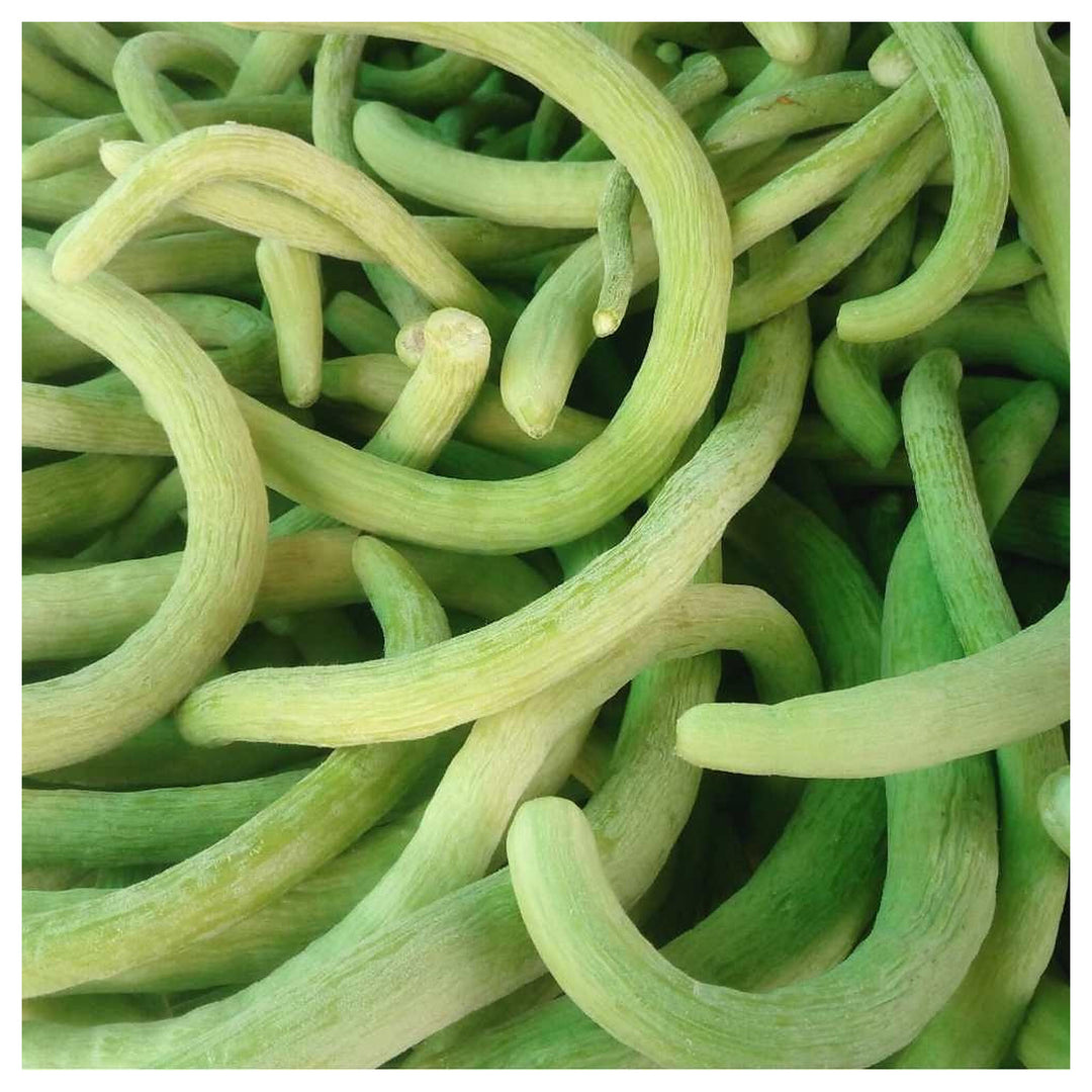 Long Cucumber Cucumis Sativus For Planting Vegetable Patch Urban Garden Flower Seeds for Home | Neera Seeds product photo [neera-v4-f2f949d09bc219279298]