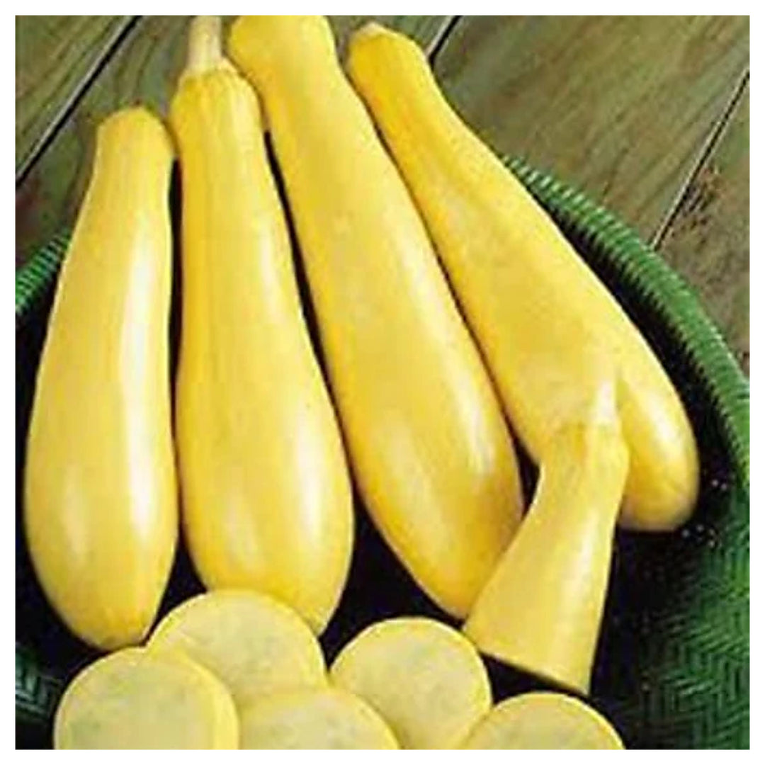 Straightneck Squash Planting Non Gmo Heirloom Fresh Garden Planting Usa Flower Seeds | Neera Seeds product photo [neera-v4-f35bbdbfb8f55c772948]