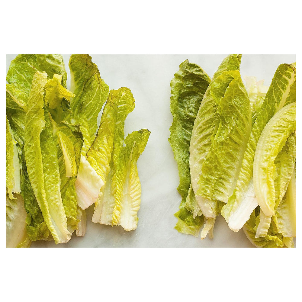 Lettuce Seeds for Planting – Heirloom, Non-GMO, High Germination Organic Seeds for Crisp, Fresh Garden Greens | Neera Seeds product photo [neera-v4-f363424fb1f102269f8b]