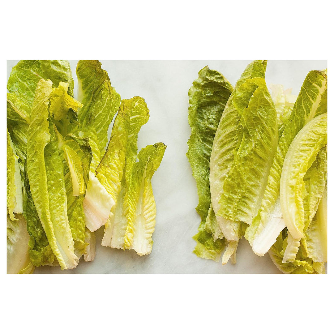 Lettuce Seeds for Planting – Heirloom, Non-GMO, High Germination Organic Seeds for Crisp, Fresh Garden Greens | Neera Seeds product photo [neera-v4-f363424fb1f102269f8b]