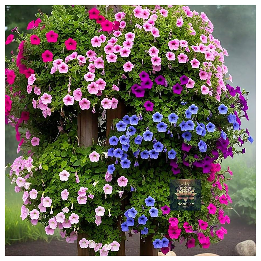 Mixed Hanging Petunia For Planting Petunia Hybrida For Flower Bed And Hanging Baskets Flower Seeds | Neera Seeds product photo [neera-v4-f39cb8a5239b77deed93]