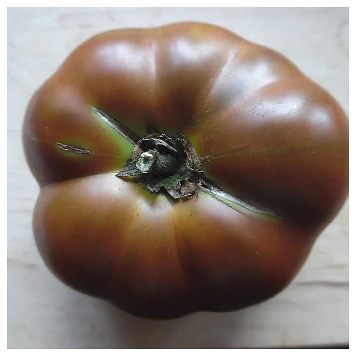Dwarf Chocolate Tomato Seeds for Planting – Heirloom, Non-GMO, High Germination Organic Garden Seeds for Flavorful  | Neera Seeds product photo [neera-v4-f3c4fca173607048d18b]