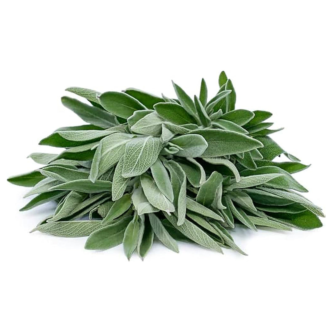 Sage Flower Salvia Officinalis Planting Herb Garden And Urban Garden Flower Seeds Home | Neera Seeds product photo [neera-v4-f41e20145d935b4dd35f]