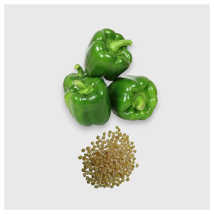 Green Sweet Pepper Seeds – Heirloom, Non-GMO Capsicum Seeds for Home Garden and Container Growing | Neera Seeds product photo [neera-v4-f555b4494e4fdaf0776e]