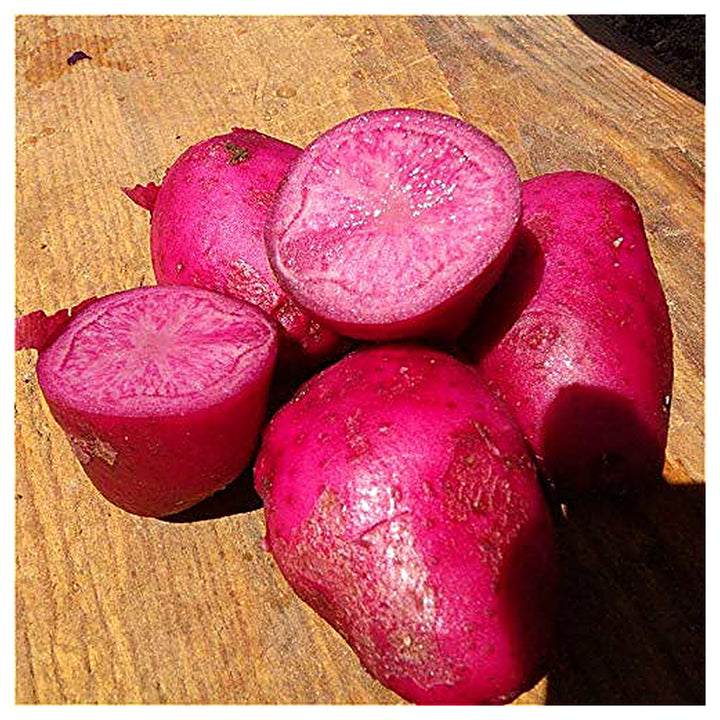 Dark Pink Potato Vegetable Seeds for Planting – Heirloom Non-GMO Organic Garden Seeds | Neera Seeds product photo [neera-v4-f56185997eaa9ba62c4a]