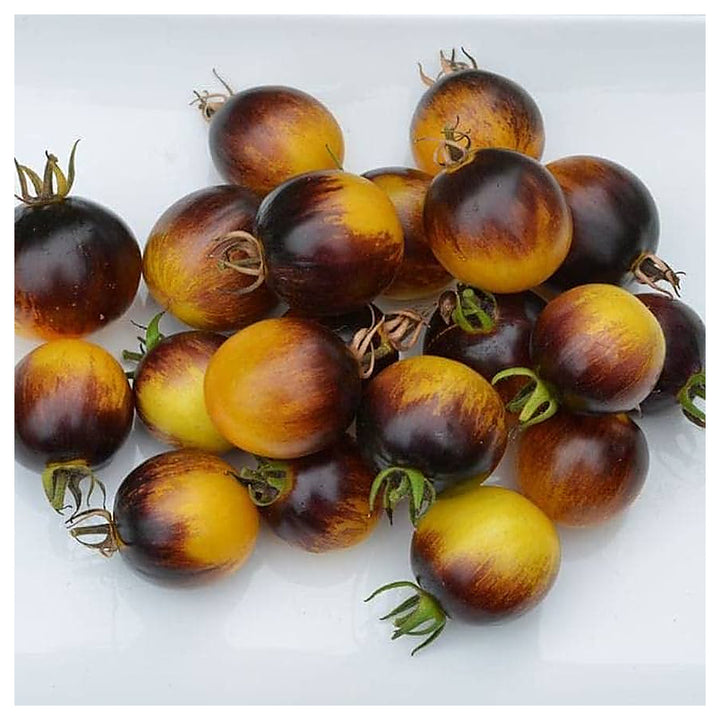 Brown Yellow Tomato Seeds for Planting – Heirloom, Non-GMO, High Germination Organic Garden Seeds | Neera Seeds product photo [neera-v4-f8bb0f13b5a78af23cd7]