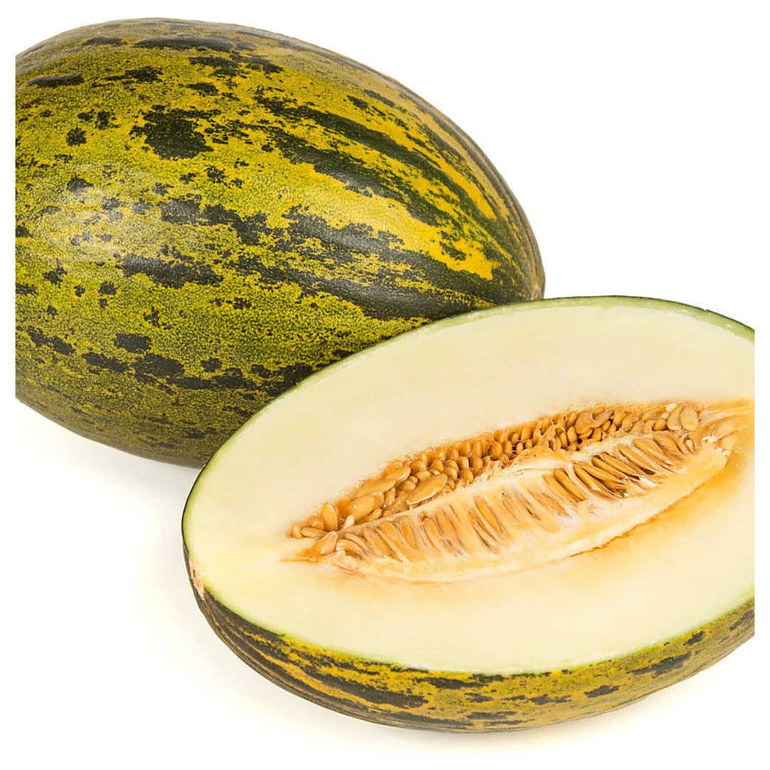 Melon Piel De Sapo Seeds for Planting – Heirloom, Non-GMO, High Germination Organic Garden Seeds for Sweet, Juicy M | Neera Seeds product photo [neera-v4-f8f2e6118ba15d9204ad]