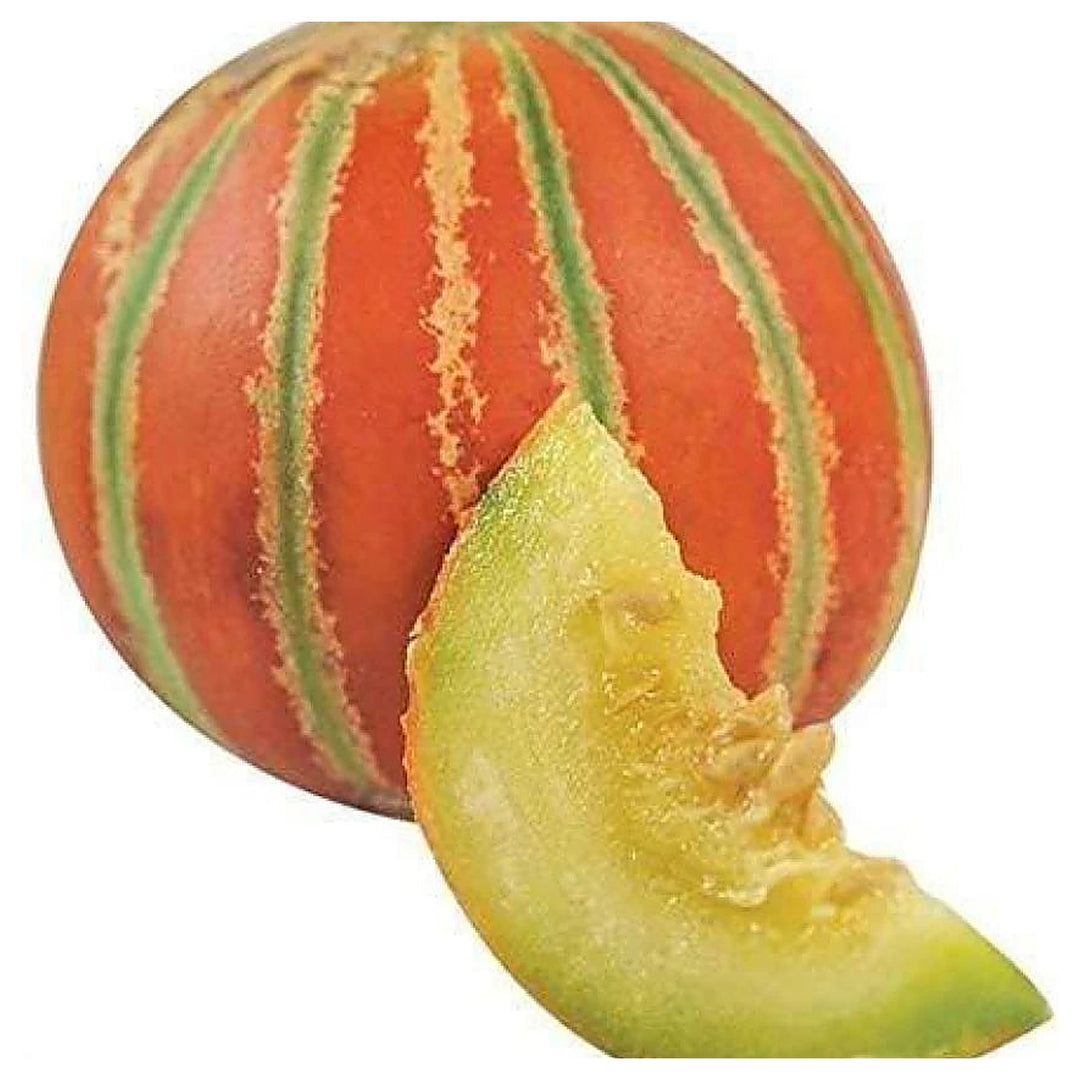 Orange Musk Melon Fruit Seeds for Planting – Heirloom & Non-GMO Seeds for Sweet Summer Harvests | Neera Seeds product photo [neera-v4-f990d55a490f5e92b434]