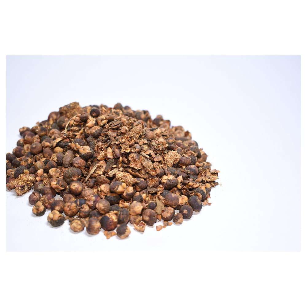 Banyan Tree Seeds for Planting – Heirloom, Non-GMO, High Germination Sacred Fig Seeds for Bonsai or Garden | Neera Seeds product photo [neera-v4-f9e69b2fbf0e3b9829fa]