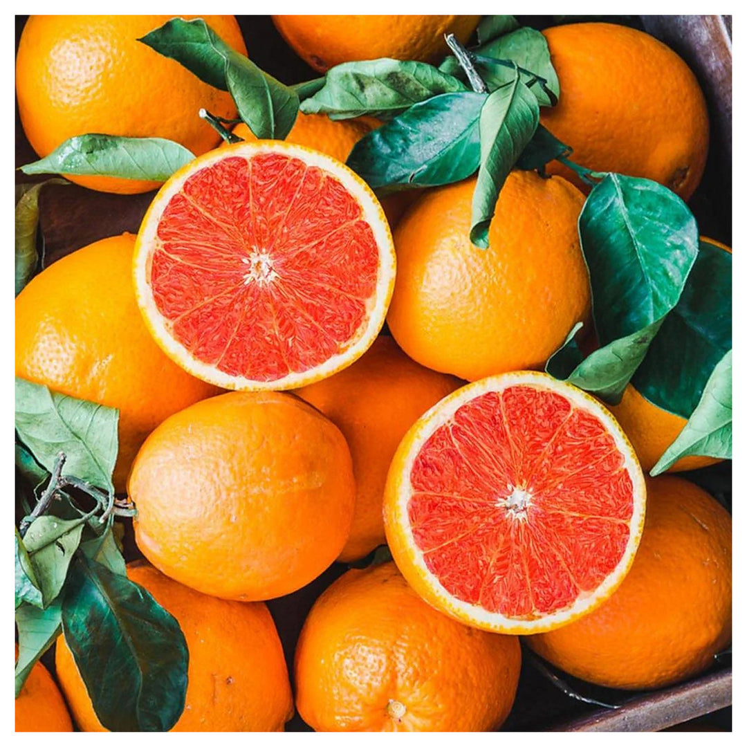Cara Cara Navel Orange Fruit Seeds – Sweet & Juicy Oranges, Heirloom & Non-GMO Seeds for Home Garden | Neera Seeds product photo [neera-v4-fa3bc4f4f8e71a9b2161]