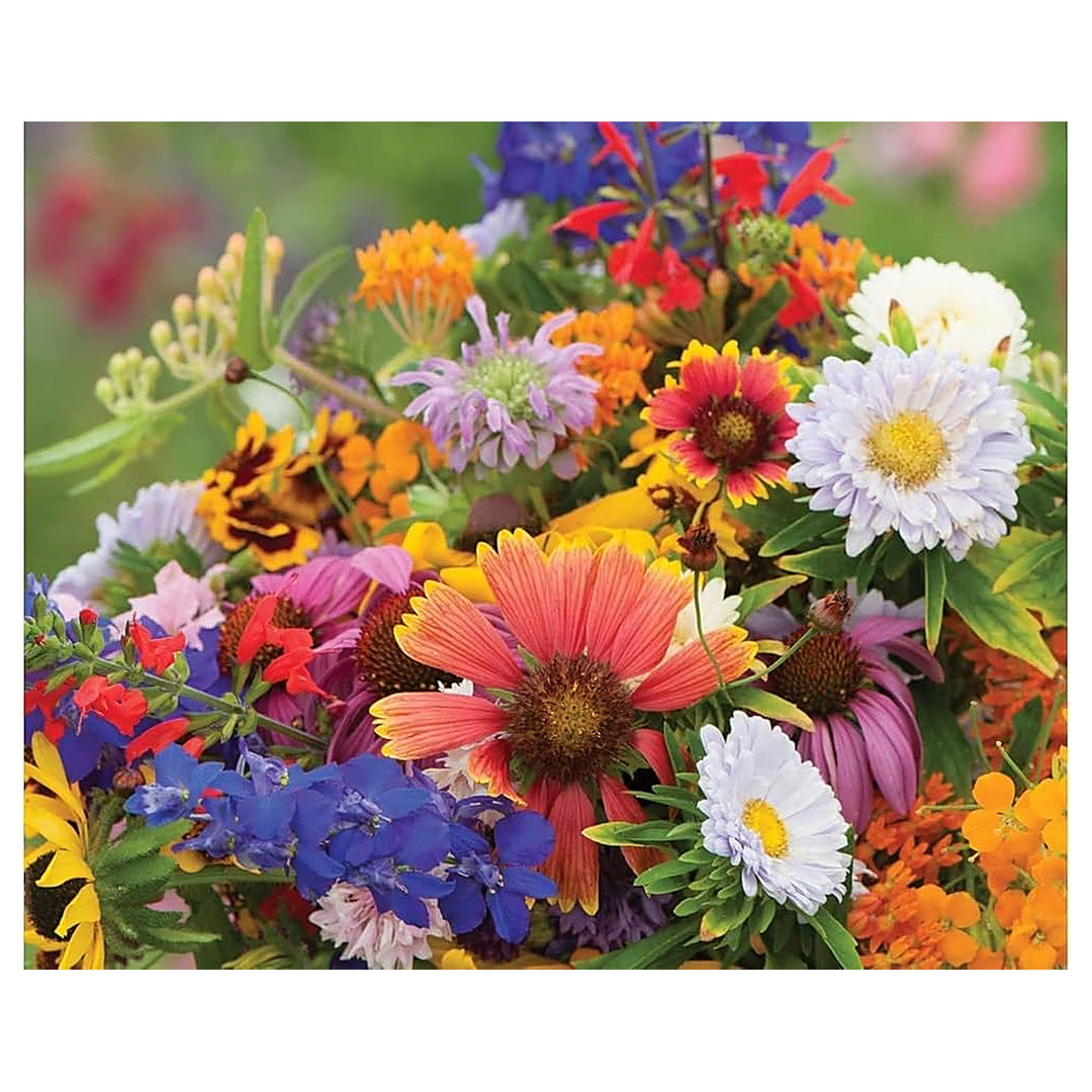 Wildflower Mix For Colorful Natural Flower Blooms Flower Seeds for Home Garden Planting, Ornamental | Neera Seeds product photo [neera-v4-fa54bd99165d479c2e32]