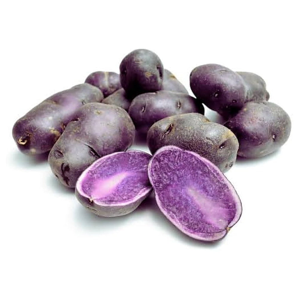 Purple Potato Seeds for Planting – Heirloom, Non-GMO, Organic Garden Seeds, High Germination Vegetable Seeds | Neera Seeds product photo [neera-v4-fa5950fe5d2ad41d659f]