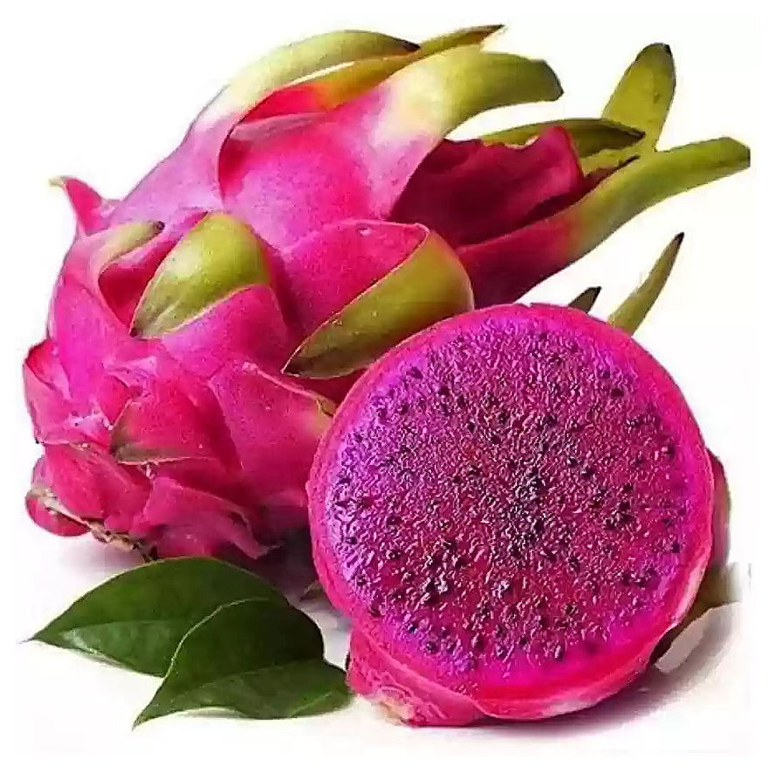 Pitaya Pink Fruit Seeds for Planting – Heirloom Non-GMO Organic Garden Seeds with High Germination for Exotic Drago | Neera Seeds product photo [neera-v4-fa649a26ef24e6c09929]