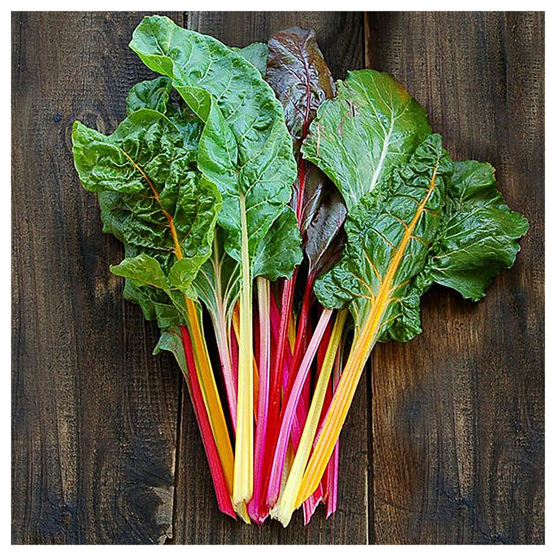 Swiss Chard Rainbow Seeds – Heirloom, High Yield, Colorful Leafy Greens | Neera Seeds product photo [neera-v4-fd1f89ce2b64c7f709d8]