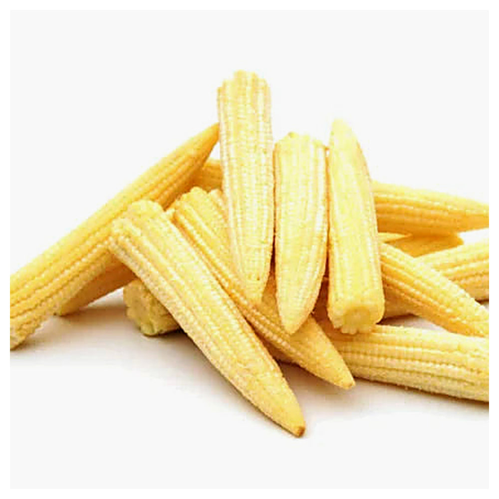 Baby Corn Seeds for Planting – High-Yield Hybrid Sweet Corn Seeds, Heirloom & Non-GMO Garden Vegetable Seeds | Neera Seeds product photo [neera-v4-fe46575d71d45dcab69b]