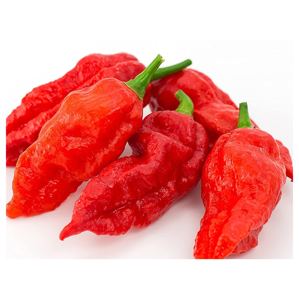 Ghost Hot Pepper Seeds for Planting – Heirloom, Non-GMO, High Germination, Organic Garden Seeds | Neera Seeds product photo [neera-v4-fee92b4d1ea8c7fdb885]