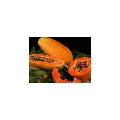 Taiwan Red Lady Papaya Fruit Seeds for Planting [neera-v5-016b737dc010f58f0aa8]