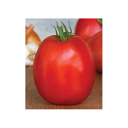 Big Red Tomato Seeds for Planting [neera-v5-01b265af4c4724d187aa]