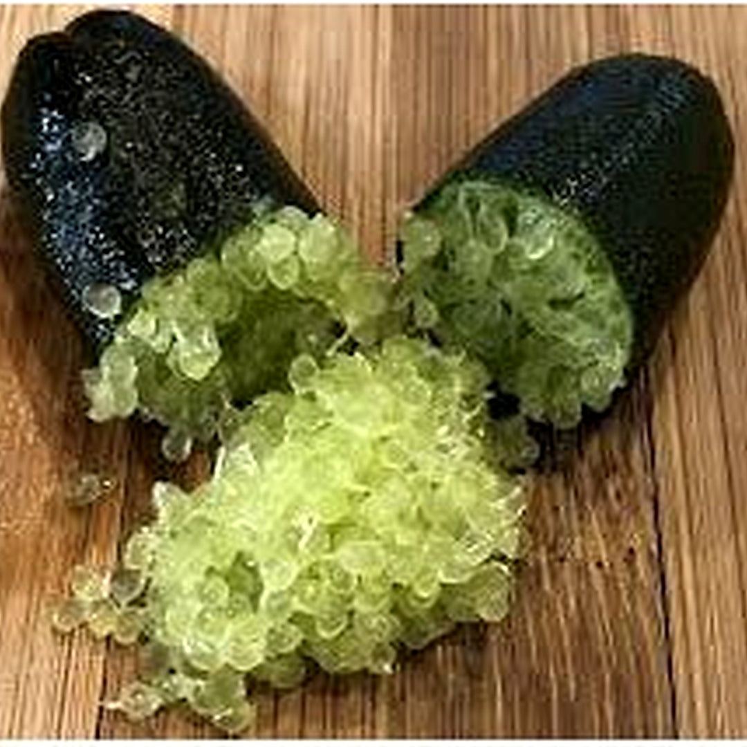 Emerald Green Finger Lime Plant Seeds for Planting [neera-v5-02169325ca8799691248]