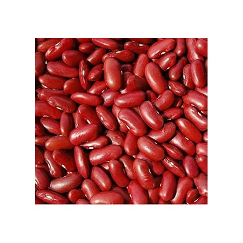 Red Kidney Bean Seeds for Planting [neera-v5-029e733b374a255634ff]