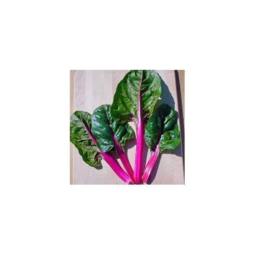Pink Swiss Chard Seeds for Planting [neera-v5-031a2e3dbd6ec332bb1e]