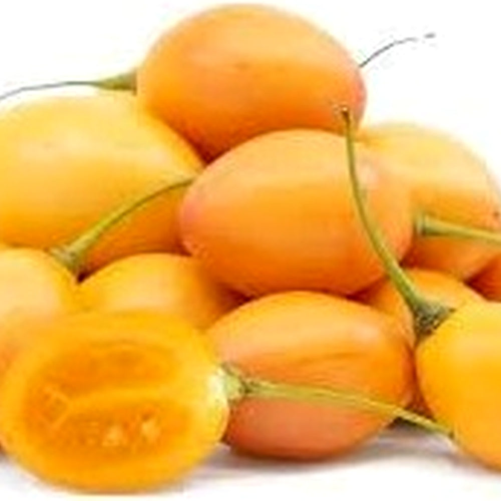 Tamarillo Vegetable Seeds for Planting [neera-v5-03c615bbb2530f7f6eee]