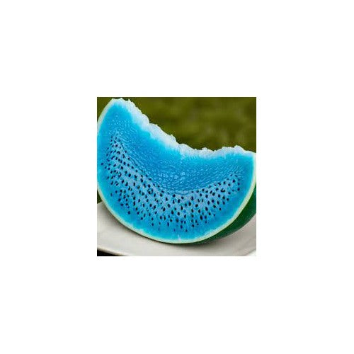 Sky Blue Watermelon Fruit Seeds for Planting [neera-v5-03f63c0d1c323f572c12]