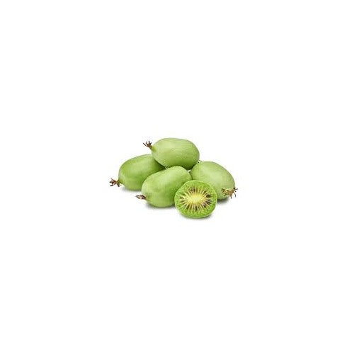 Issai Kiwi Fruit Seeds for Planting [neera-v5-042bbfc03f3d8793b3c5]