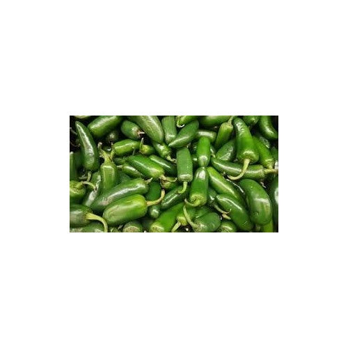 Jumbo Jalapeno Pepper Seeds for Planting | Heirloom, Non-GMO, High Germination Organic Garden Seeds [neera-v5-0448dedec5c0a64cc106]