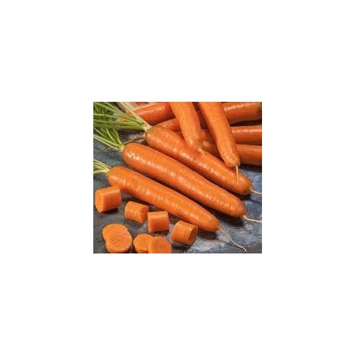 Carrot Bolero Hybrid Seeds for Planting [neera-v5-04aa3dcc200116e12c72]
