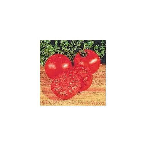 Big Boy Tomato Hybrid Vegetable Seeds for Planting [neera-v5-051810b6f26aebaa28d0]