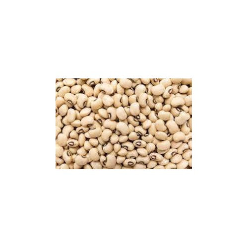 White Cattle Bean Seeds for Planting [neera-v5-0605ff3430e083efbca5]