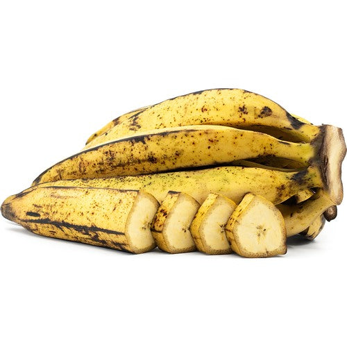 Rhino Horn Banana (African Giant Banana) Fruit Tree Seeds for Planting [neera-v5-063bafd8c5789fb0fea8]