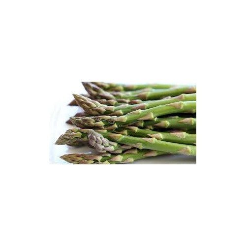 Asparagus Mary Washington Seeds [neera-v5-06af881d7ec678ddc324]