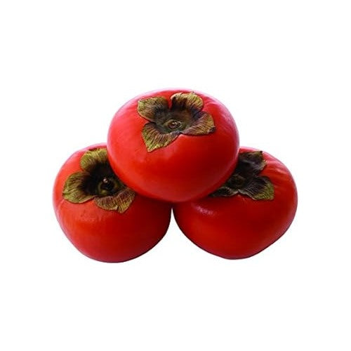 Red Diospyros (Persimmon) Fruit Seeds for Planting [neera-v5-07102a96765988cdd818]
