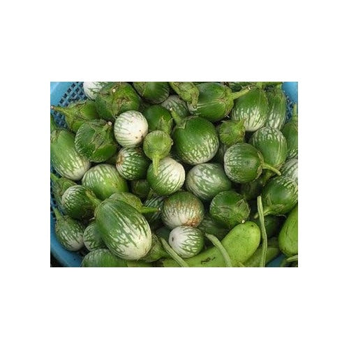 Green &amp; White Eggplant Seeds for Planting [neera-v5-077058f7b6cc4e110bbf]