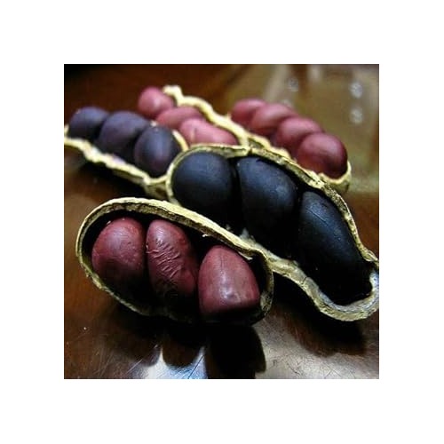 Heirloom Black Brown Shell Peanut Seeds for Planting [neera-v5-08661e65ab5935392c29]
