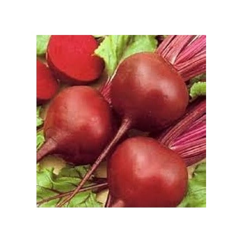 Beet Detroit Vegetable Seeds for Planting [neera-v5-088bf02aa1bb51a3fd7c]