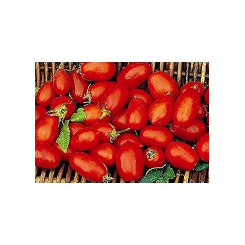 Red Tomato Seeds for Planting [neera-v5-08c6e92de0d16a313a4a]