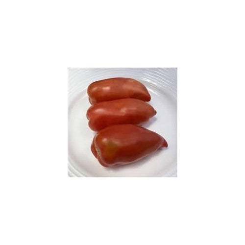 Opalka Heirloom Tomato Seeds for Planting [neera-v5-091bfbe8e0bda4b7a8e7]