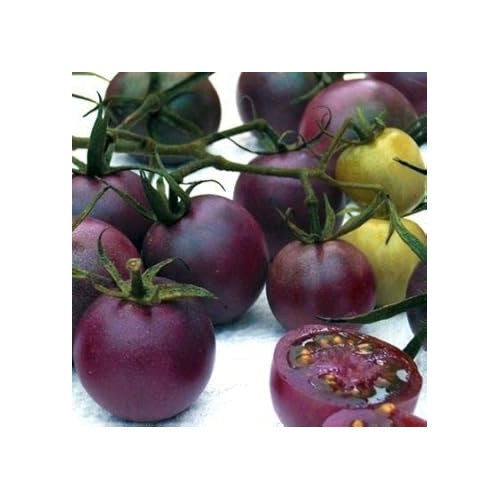 Heirloom Non-GMO Purple Tomato Seeds [neera-v5-093ae7920c91d06a8fd7]