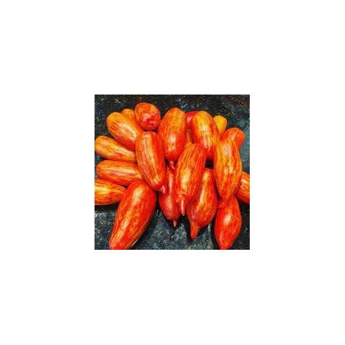 Heirloom Non-GMO Speckled Roma Tomato Vegetable Seeds [neera-v5-09c656c4705de715ef39]