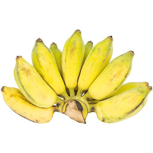 Kluai Namwa (Thai Banana) Fruit Seeds for Planting [neera-v5-09df033ae8e4d44b16fc]