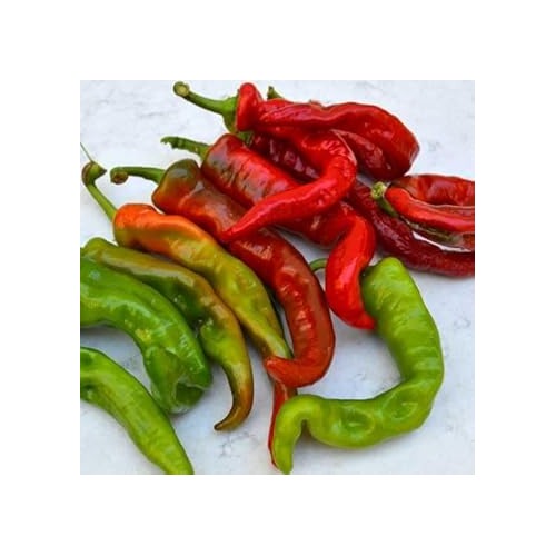Anaheim Pepper Seeds for Planting [neera-v5-0a199e56b23f08a01dfd]