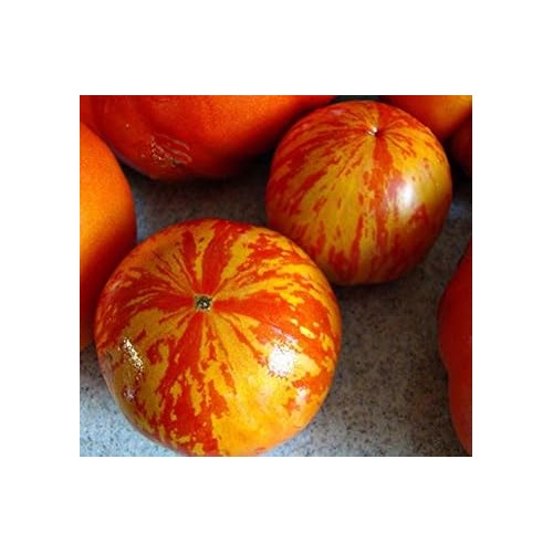 Yellow Orange Tomato Seeds for Planting [neera-v5-0a657c8a99d2ceaf326e]