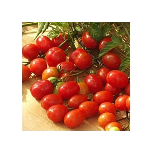 Red Tomato Seeds for Planting [neera-v5-0aa6be3fc41f94fe39d0]