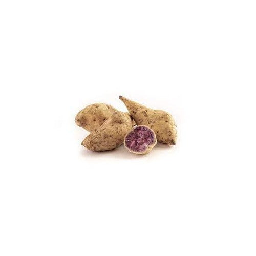 Okinawa Sweet Potato Seeds for Gardening [neera-v5-0aca159346736277339a]