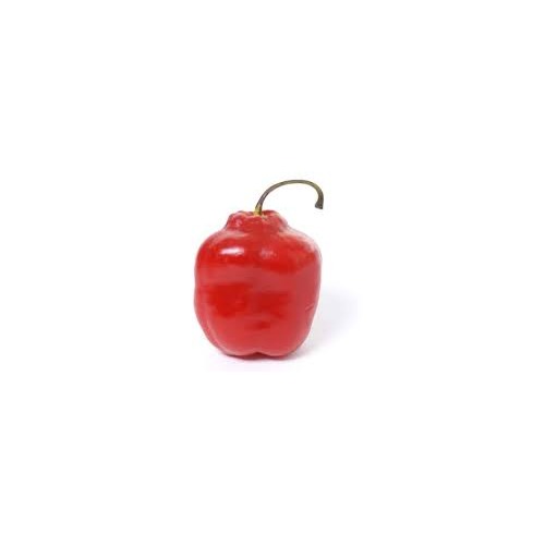 Red Rocoto Aji Locoto Capsicum Pubescens Hot Chili Pepper Seeds for Planting [neera-v5-0af75807dfa356c77345]