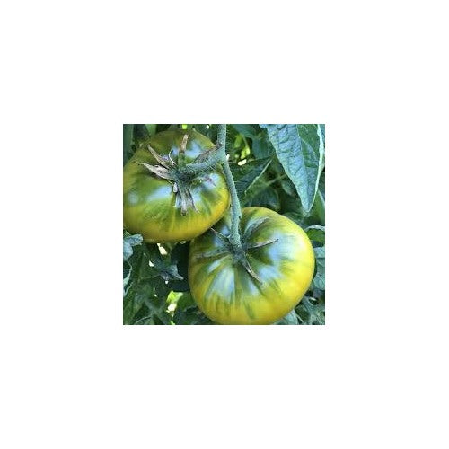 Green Cherokee Tomato Seeds for Planting [neera-v5-0b29927f8a287b62e416]