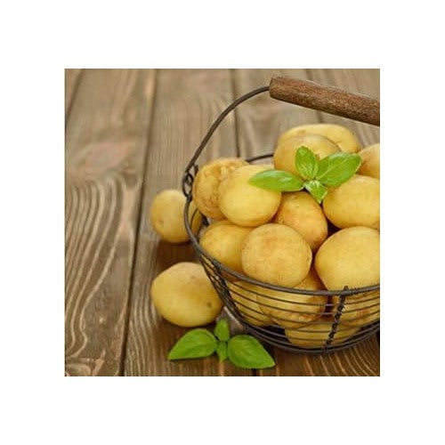 Yellow Potato Vegetable Seeds for Planting [neera-v5-0b4b530f3fce9a3b6983]